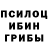 Псилоцибиновые грибы Psilocybe TheLarniss