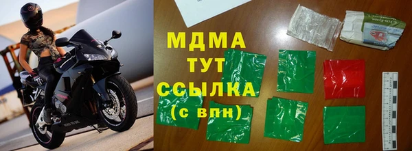 прущие грибы Бронницы