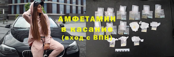 прущие грибы Бронницы