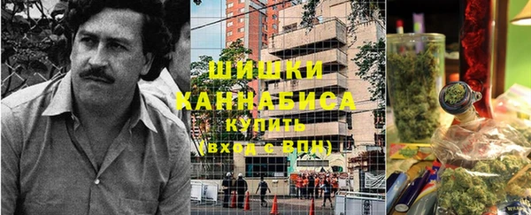 прущие грибы Бронницы