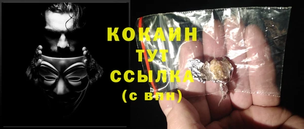 MESCALINE Бородино
