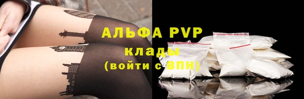прущие грибы Бронницы