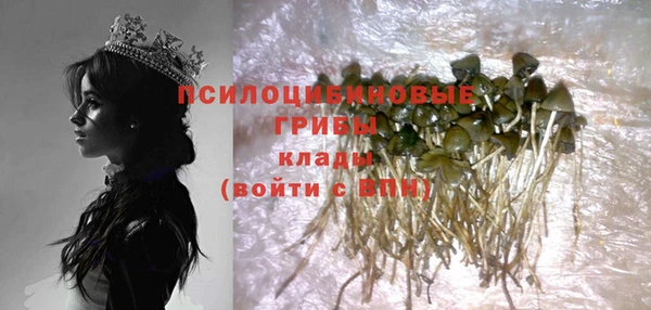 MESCALINE Бородино