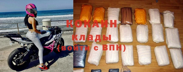 прущие грибы Бронницы