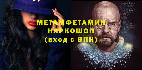 прущие грибы Бронницы